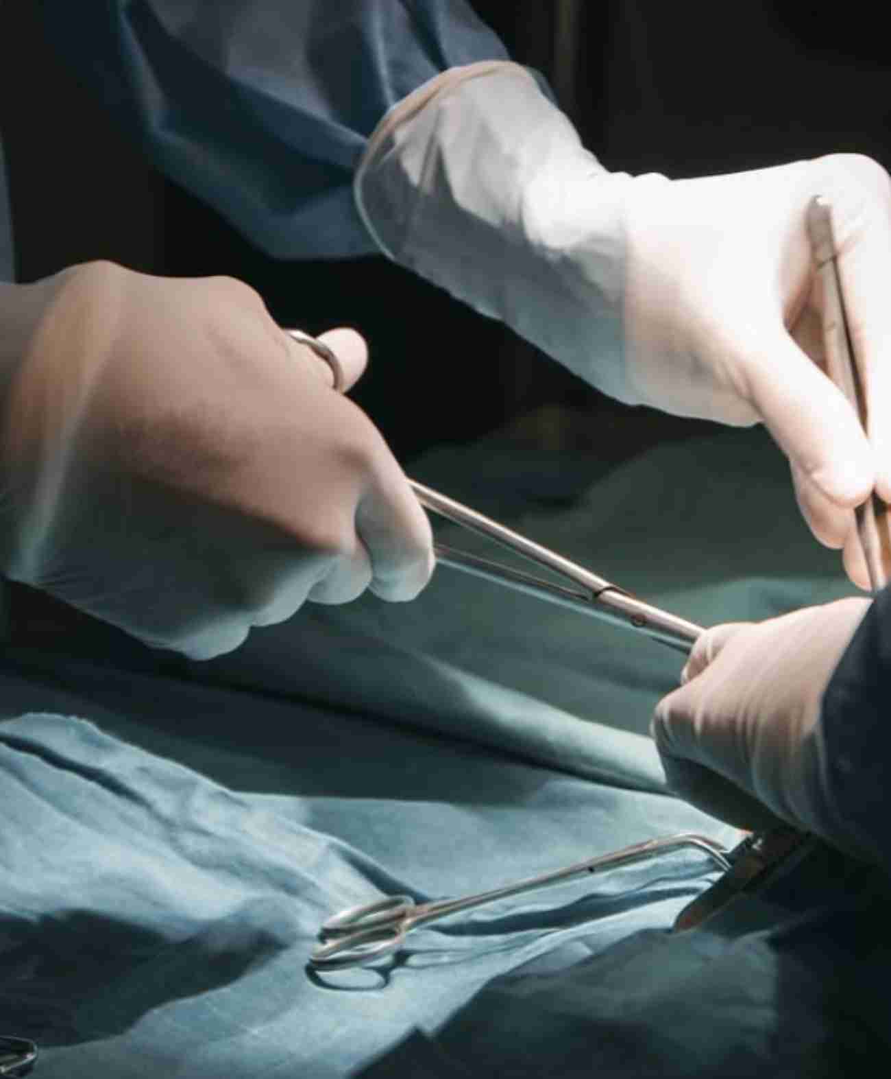 WestVet Hayvan Hastanesi