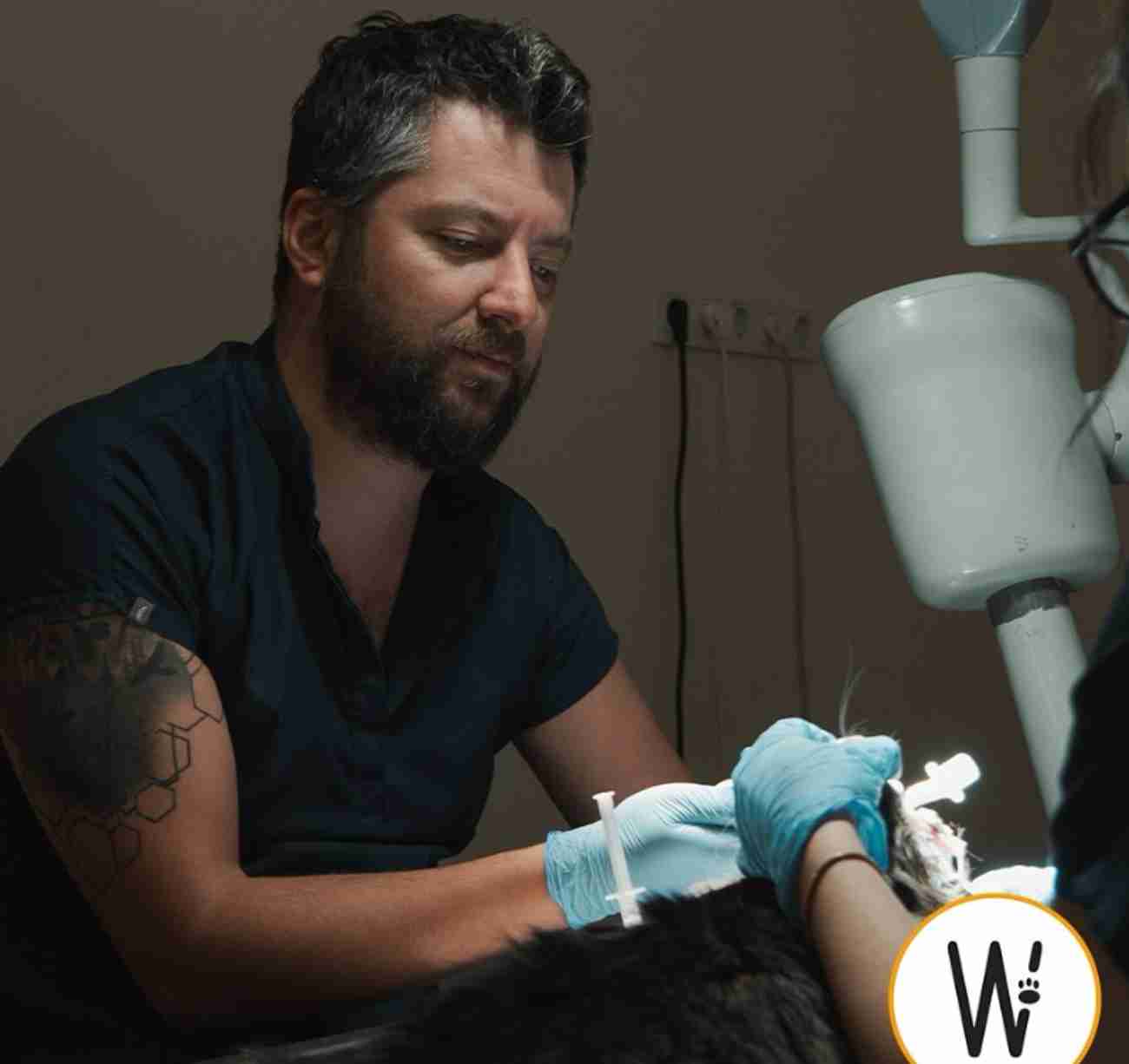 WestVet Hayvan Hastanesi