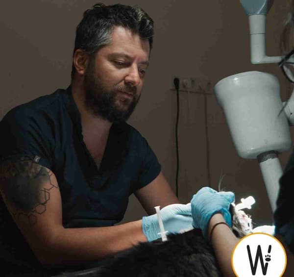 WestVet Hayvan Hastanesi - 6. Fotoğraf WestVet Hayvan Hastanesi - 6. Fotoğraf