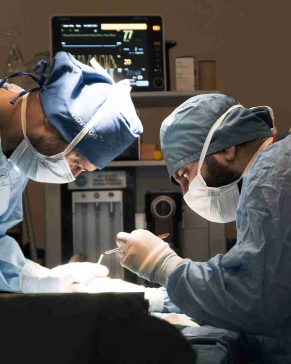 WestVet Hayvan Hastanesi - 2. Fotoğraf WestVet Hayvan Hastanesi - 2. Fotoğraf