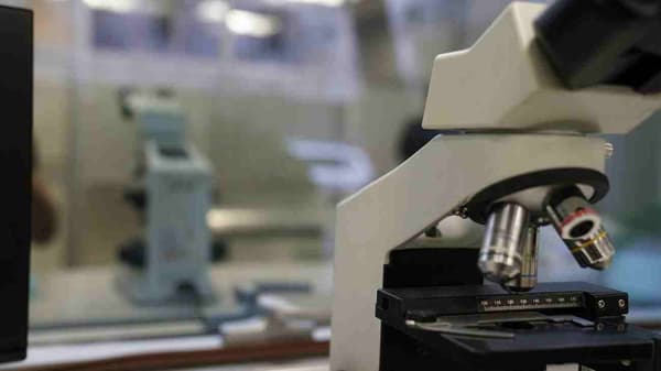 Petalya Veteriner Kliniği - 4. Fotoğraf Petalya Veteriner Kliniği - 4. Fotoğraf