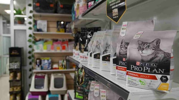 Petalya Veteriner Kliniği - 5. Fotoğraf Petalya Veteriner Kliniği - 5. Fotoğraf