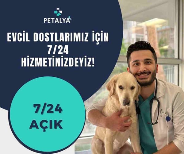 Petalya Veteriner Kliniği - 8. Fotoğraf