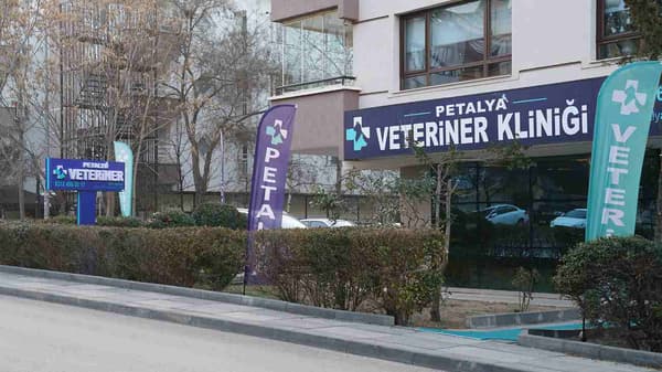 Petalya Veteriner Kliniği - 7. Fotoğraf Petalya Veteriner Kliniği - 7. Fotoğraf