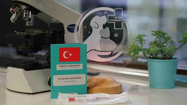 Petalya Veteriner Kliniği - 6. Fotoğraf Petalya Veteriner Kliniği - 6. Fotoğraf